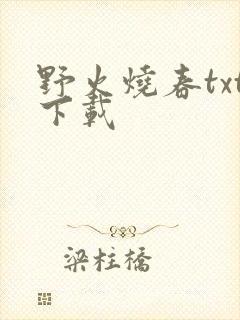 野火烧春txt下载