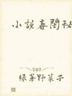 小说春闺秘史