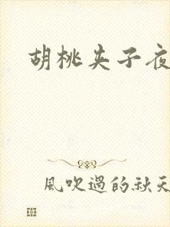 胡桃夹子夜未眠