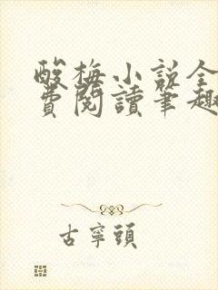 酸梅小说全文免费阅读笔趣阁