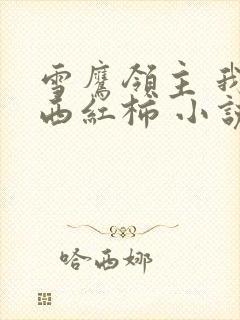 雪鹰领主 我吃西红柿 小说