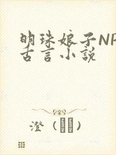 明珠娘子NPC古言小说