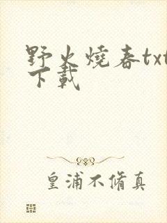 野火烧春txt下载