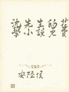 沈先生的花式教学小说免费