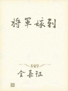 将军嫁到