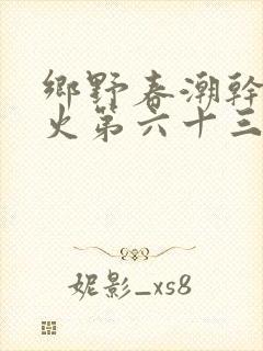 乡野春潮干柴烈火第六十三章