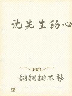 沈先生的心头宝