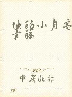 他的小月亮by青藤