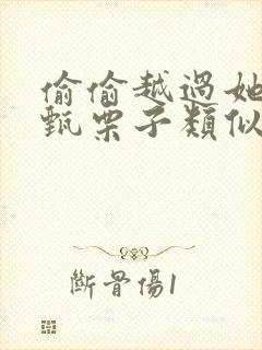 偷偷越过她by甄栗子类似小说