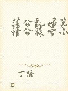 荡公乱妇第1章情公苏雪小说