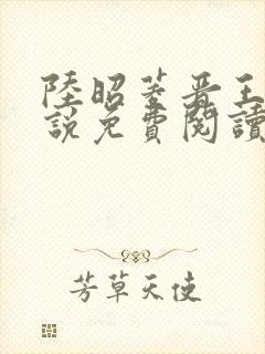 陆昭菱晋王的小说免费阅读