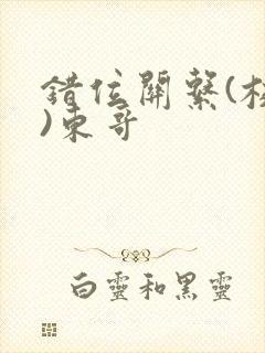 错位关系(校园)东哥