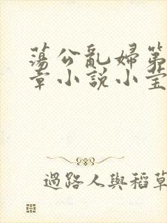 荡公乱妇第51章小说小莹