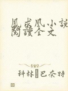 凤求凰小说免费阅读全文