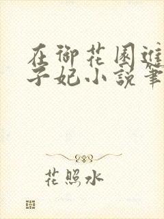 在御花园进入太子妃小说笔趣阁