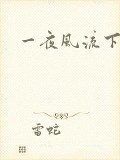 一夜风流下载