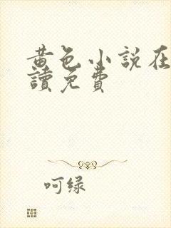 黄色小说在线阅读免费