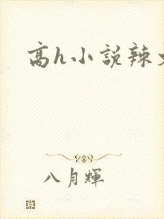 高h小说辣文