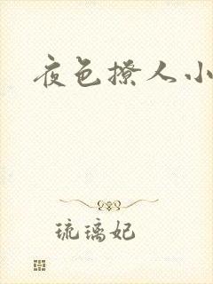 夜色撩人小说