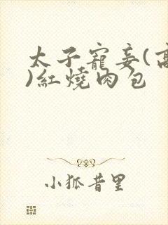 太子宠妾(高肉)红烧肉包