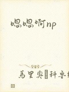 嗯嗯啊np