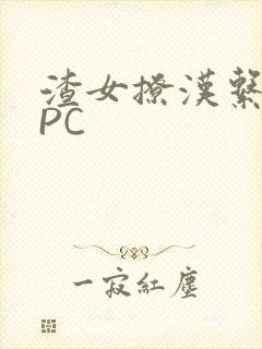 渣女撩汉系统NPC