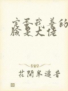 完蛋我养的小白脸是大佬