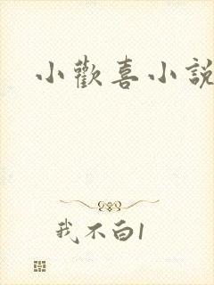 小欢喜小说