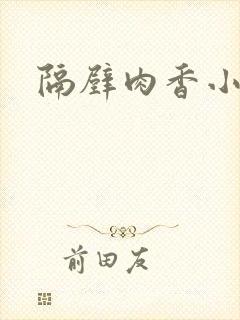 隔壁肉香小说
