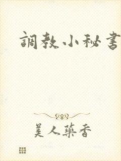调教小秘书