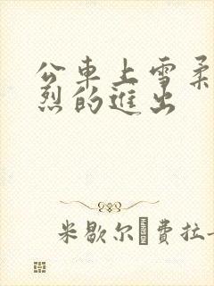 公车上雪柔被猛烈的进出