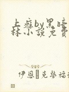 上瘾by黑暗森林小说免费