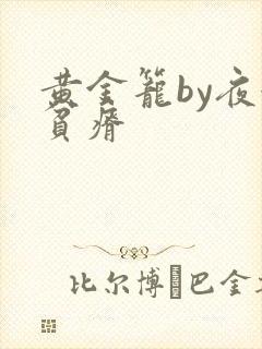 黄金笼by夜很贫瘠