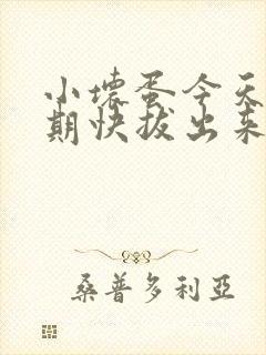 小坏蛋今天危险期快拔出来