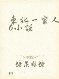 东北一家人1一6小说