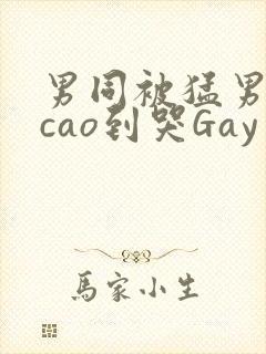 男同被猛男房东cao到哭Gay