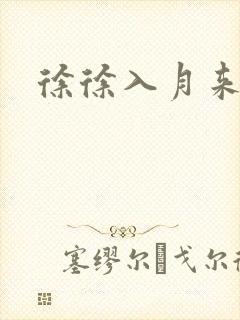 徐徐入月来