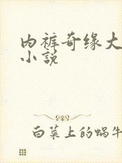 内裤奇缘大团结小说