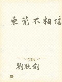 东莞不相信眼泪