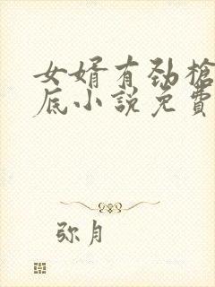 女婿有劲枪枪到底小说免费阅读