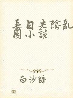 长日光阴乱作一团小说