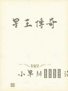星王传奇