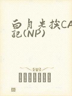 白月光挨CAO记(NP)