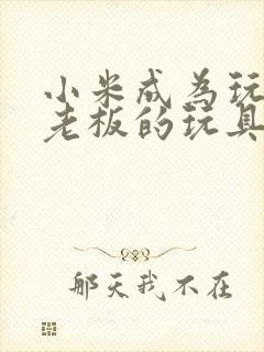 小米成为玩具店老板的玩具