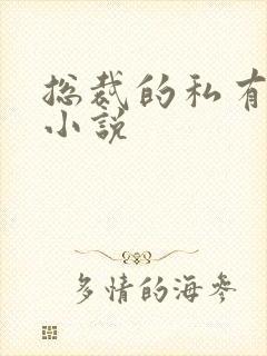 总裁的私有宝贝小说