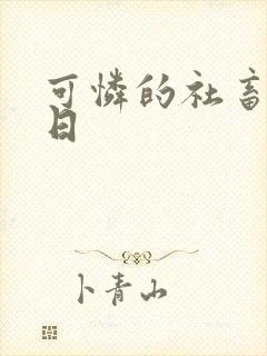 可怜的社畜东度日