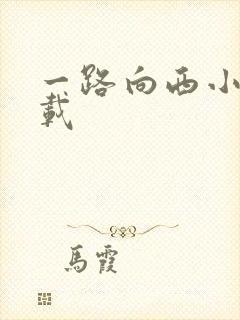 一路向西小说下载