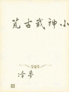 荒古武神小说