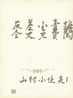 反差小青梅小说全文免费阅读