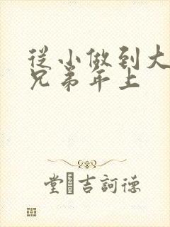 从小做到大骨科兄弟年上